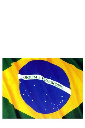 Bandeira-brasil-600x900